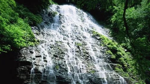 高效可靠性